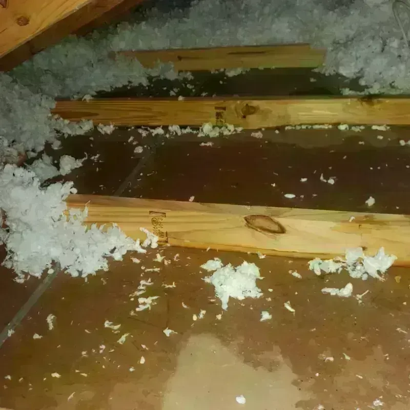 Attic Water Damage in Toro Canyon, CA