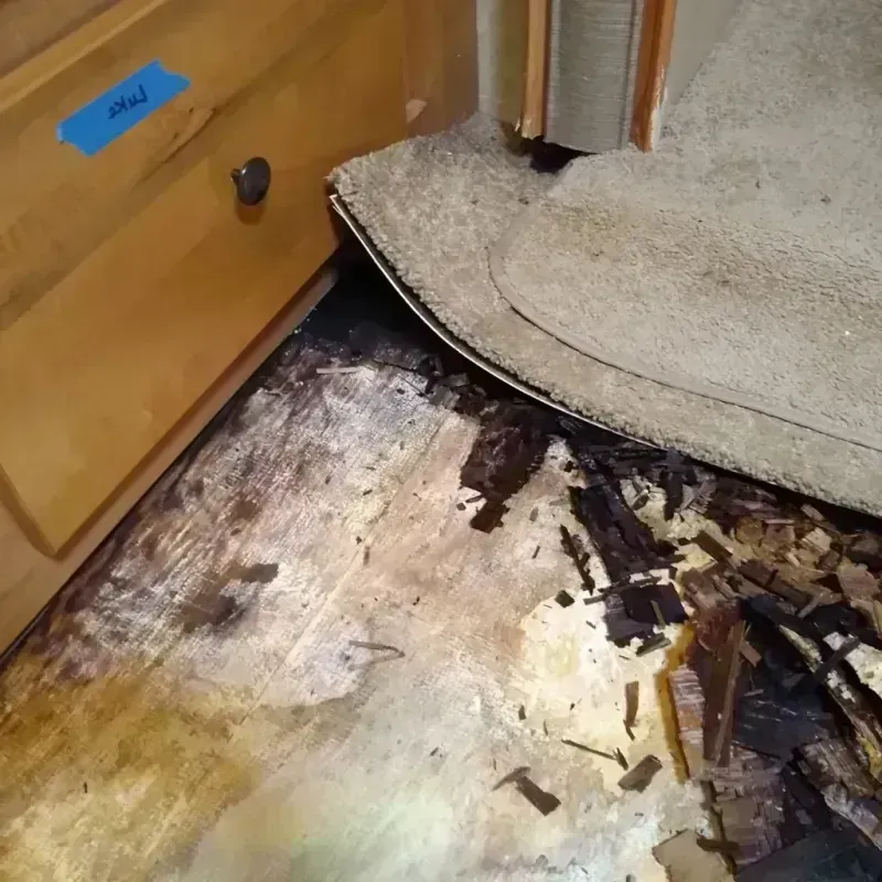 Wood Floor Water Damage in Toro Canyon, CA